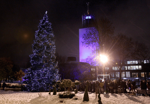 Newcastle's Bergen Christmas tree from previous years. Photo: Newcastle City Council.