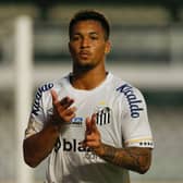 Santos striker Marcos Leonardo