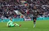 Newcastle United striker Callum Wilson. (Photo by Ian MacNicol/Getty Images)