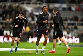 Newcastle United midfielder Joe Willock. (Photo by Stu Forster/Getty Images)