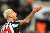 Newcastle United's Brazilian midfielder Bruno Guimaraes. (Photo by ANDY BUCHANAN/AFP via Getty Images)
