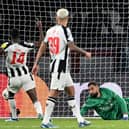 Newcastle United's Swedish striker #14 Alexander Isak scores a goal against Paris Saint-Germain's Italian goalkeeper #99 Gianluigi Donnarumma during the UEFA Champions League 1st round, day 5, Group F football match between Paris Saint-Germain (PSG) and Newcastle United at the Parc des Princes stadium in Paris, on November 28, 2023. 