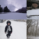 NewcastleWorld readers have been sharing their snow photos. Photo: Other 3rd Party.