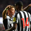 Newcastle United defender Harrison Ashby. (Photo by Mark Runnacles/Getty Images)