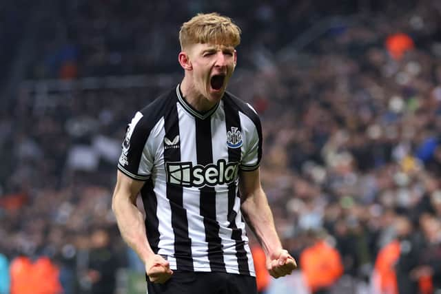 Newcastle United winger Anthony Gordon. (Photo by Clive Brunskill/Getty Images)