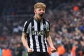 Newcastle United winger Anthony Gordon. (Photo by Clive Brunskill/Getty Images)