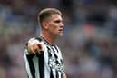 Newcastle United centre-back Sven Botman. (Photo by George Wood/Getty Images)