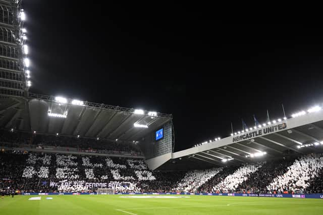 Newcastle United are determined to boost the club's stadium capacity - either at St James' Park or elsewhere (Image: Getty Images)