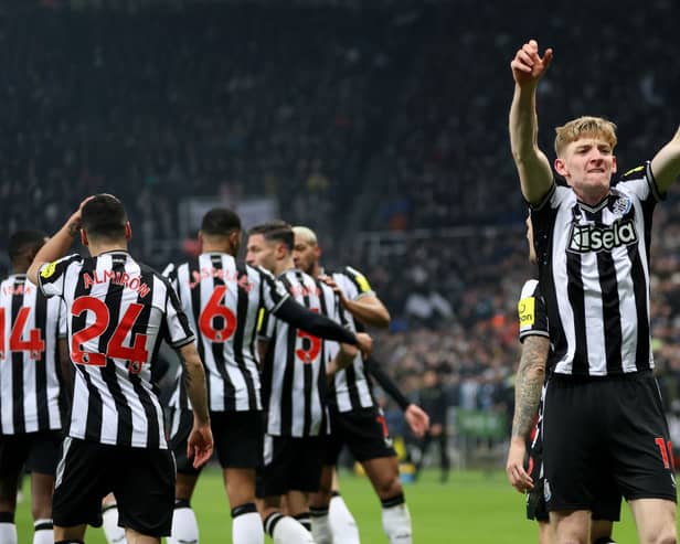 Newcastle United winger Anthony Gordon. (Photo by Clive Brunskill/Getty Images)