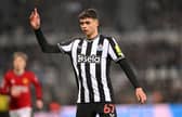 Newcastle United midfielder Lewis Miley. (Photo by Stu Forster/Getty Images)