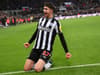 Alan Shearer's brilliant eight-word reaction to what Newcastle United star did v Fulham