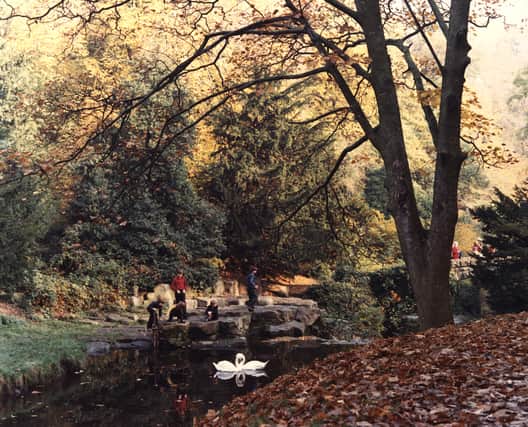 A view of Jesmond Dene Newcastle upon Tyne taken in 1975. The photograph shows a group of boys playing on the stepping stones.