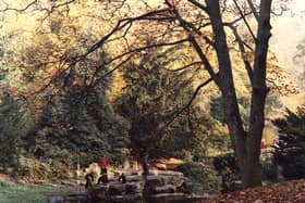 A view of Jesmond Dene Newcastle upon Tyne taken in 1975. The photograph shows a group of boys playing on the stepping stones.