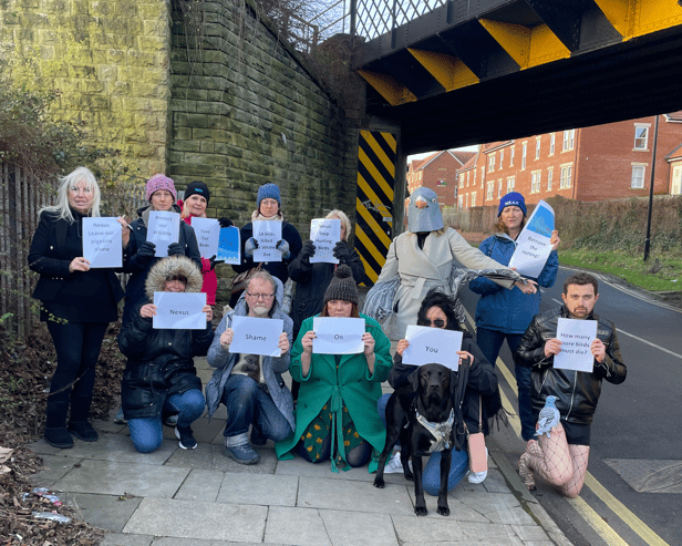 North East Animal Rights held a joint protest with Pawz for Thought at the Waterville Road rail bridge. Photo: National World.