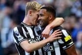 Newcastle United striker Callum Wilson (right). (Photo by Ian MacNicol/Getty Images)