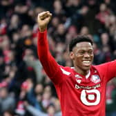 Lille talisman Jonathan David could be available for £40million
