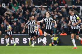 Bruno Guimaraes and Joe White of Newcastle United celebrate Matt Ritchie of Newcastle United (not pictured) scores second goal. (Photo by George Wood/Getty Images)