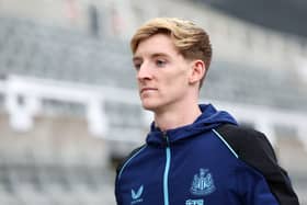 Anthony Gordon has eight goals and six assists for Newcastle United this season