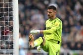 Newcastle United goalkeeper Martin Dubravka. (Photo by George Wood/Getty Images)