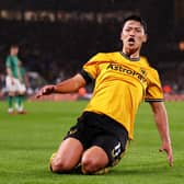 Wolves forward Hwang Hee-chan pictured celebrating against Newcastle United earlier this season