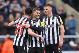 Newcastle United trio Tino Livramento (left), Fabian Schar (middle) and Sven Botman (right). (Photo by George Wood/Getty Images)