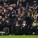 Mauricio Pochettino roars his team on from the Stamford Bridge touchline against Newcastle United