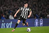 Newcastle United right-back Tino Livramento. (Photo by Mike Hewitt/Getty Images)