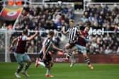 Newcastle United left-back Lewis Hall.  (Photo by PAUL ELLIS/AFP via Getty Images)