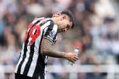 Newcastle United midfielder Bruno Guimaraes (Photo by George Wood/Getty Images)