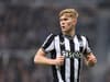 Major Lewis Hall fitness hint ahead of Newcastle United’s trip to Fulham as training pictures released