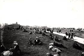 A bustling crowd of people lounge about on the grassy coastal stretch.
