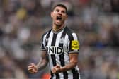 Newcastle United midfielder Bruno Guimaraes. (Photo by ANDY BUCHANAN/AFP via Getty Images)