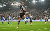 Newcastle United stand-in captain Dan Burn. (Photo by Stu Forster/Getty Images)