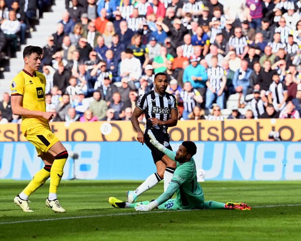 Callum Wilson of Newcastle United scores his team's fifth goal past Wes Foderingham of Sheffield United during the Premier League match between Newcastle United and Sheffield United at St. James Park on April 27, 2024 in Newcastle upon Tyne, England.