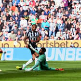 Callum Wilson of Newcastle United scores his team's fifth goal past Wes Foderingham of Sheffield United during the Premier League match between Newcastle United and Sheffield United at St. James Park on April 27, 2024 in Newcastle upon Tyne, England.