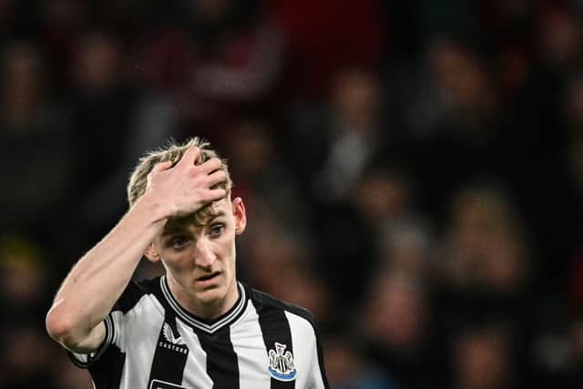 Newcastle United winger Anthony Gordon. (Photo by OLI SCARFF/AFP via Getty Images)