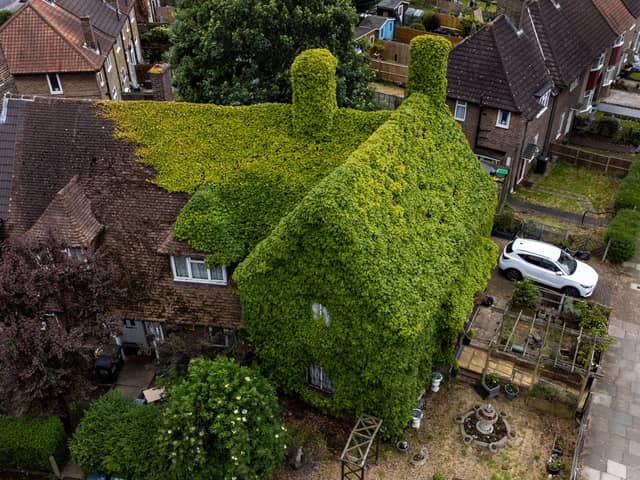 The extraordinary virginia creeper covered house in Bromley, South London which has become a local landmark with tourists stopping to take photos outside it. 
