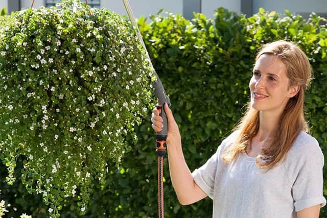 Hanging baskets need regular watering