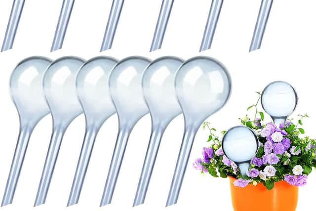 These watering globes are a very cheap way to keep plants refreshed