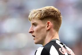  Anthony Gordon of Newcastle United looks on during the Premier League match between Newcastle United and Brighton & Hove Albion at St. James Park on May 11, 2024 in Newcastle upon Tyne, England. (Photo by George Wood/Getty Images)