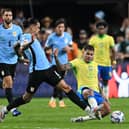 Darwin Nunez of Uruguay and Bruno Guimaraes of Brazil  battle for the ball during the CONMEBOL Copa America 2024 quarterfinal match between Uruguay and Brazil at Allegiant Stadium on July 06, 2024 in Las Vegas, Nevada. (Photo by Candice Ward/Getty Images)