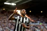 Newcastle United striker Callum Wilson. (Photo by Ian MacNicol/Getty Images)