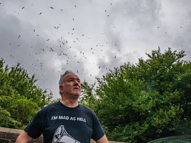 Gary Hough, 62, looks up to the skies outside his home surrounded in seagull