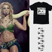 What's on offer from the new Britney Spears collaboration with skateboard brand Welcome? (Credit: Getty Images/Welcome Skateboards.)