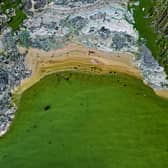 Toxic blue-green algae poses a life-threatening risk to dogs. (Photo: PONTUS LUNDAHL/TT News Agency/AFP via Getty Images)