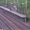 A child jumping onto the tracks in front of a train. 