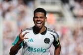William Osula of Newcastle United during the Pre-Season Friendly between Newcastle United and Stade Brestois  at St James' Park on August 10, 2024 in Newcastle upon Tyne, England. (Photo by Nigel Roddis/Getty Images)