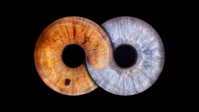 Eyeconic captures the beauty of eyes through high-definition iris imagery