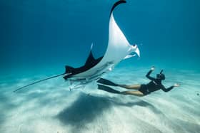 The Ocean Film Festival World Tour is coming to Whitley Bay in September.