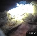 Man found hiding in loft after taking part in riots.